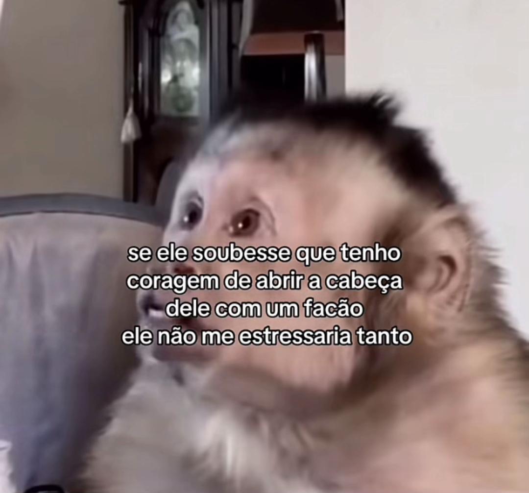 @𝑴𝒊́𝒅𝒊𝒂 𝒅𝒐 𝒎𝒂𝒄𝒂𝒄𝒐