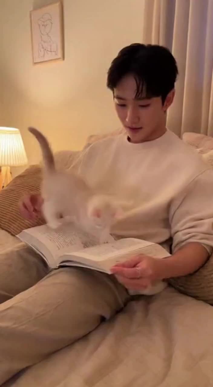 @Cat_vlog300