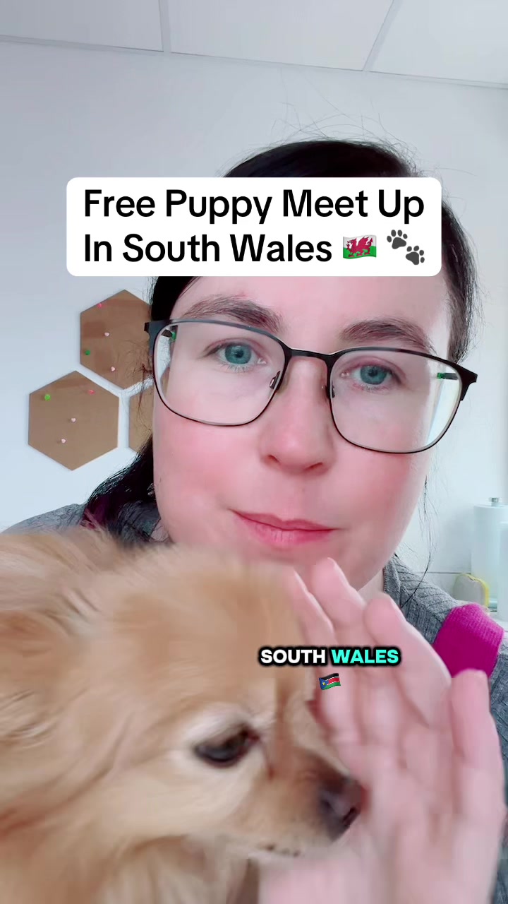 @Train Up Pup