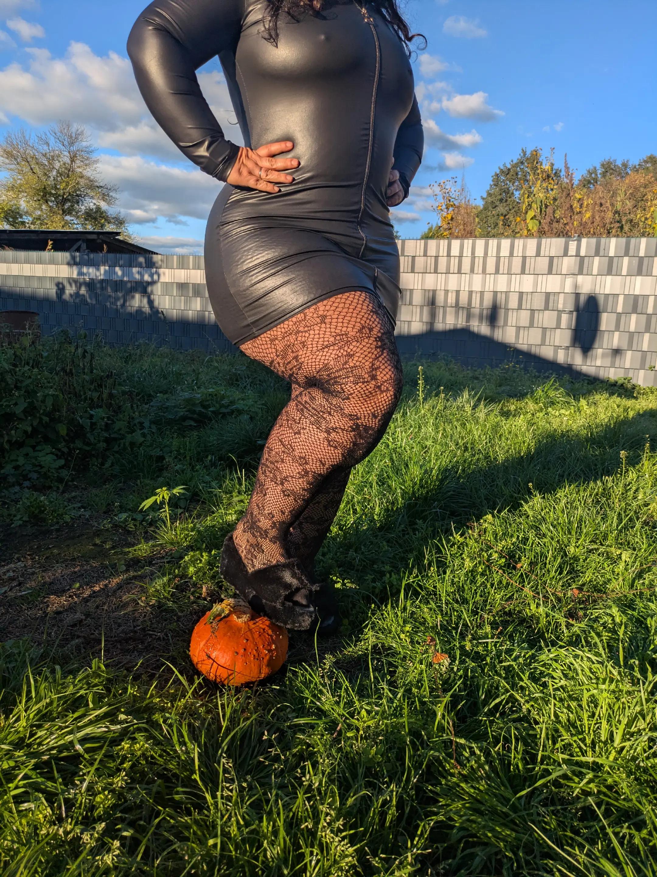 @littlecurvycat