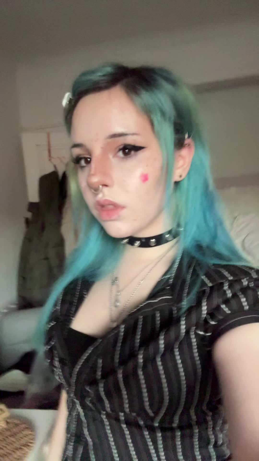 @🐾