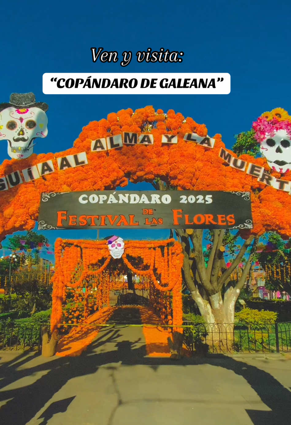@San Agust&iacute;n Del Ma&iacute;z Oficial
