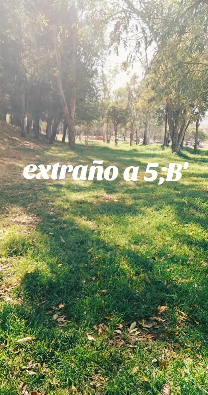 @zׁׁׅׅ֬֬ᨵׁׅׅꫀׁׅܻ݊😏