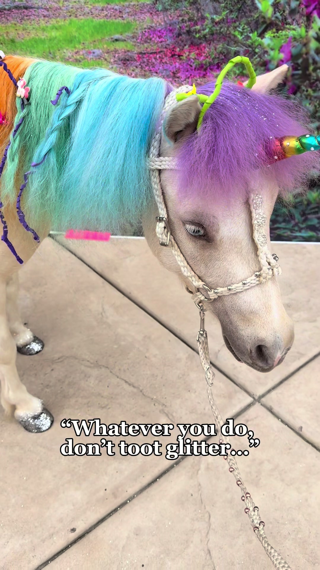 @The Posh Unicorn
