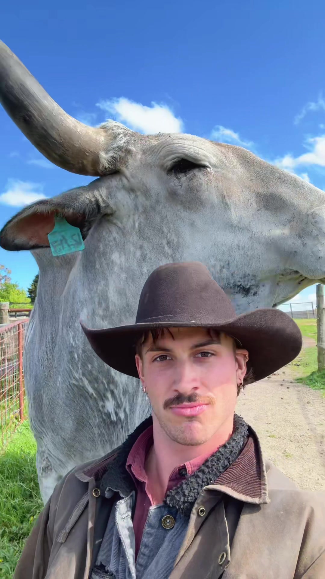 @Liam 🤠
