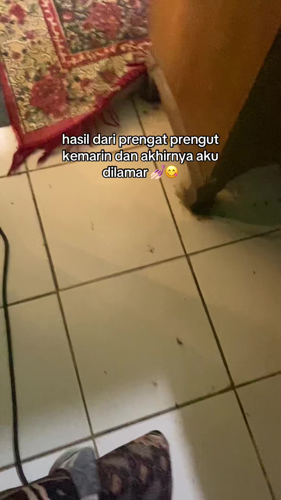 @aristaanila
