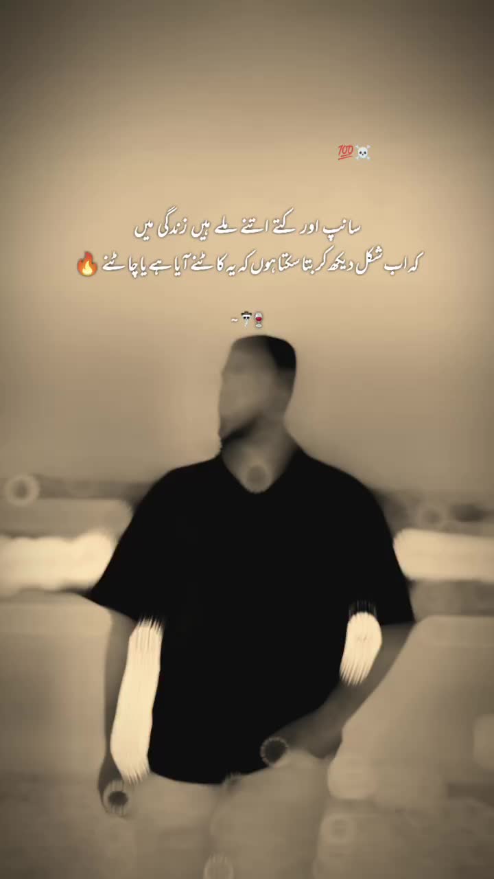 @Mirza Shajeel 007💸
