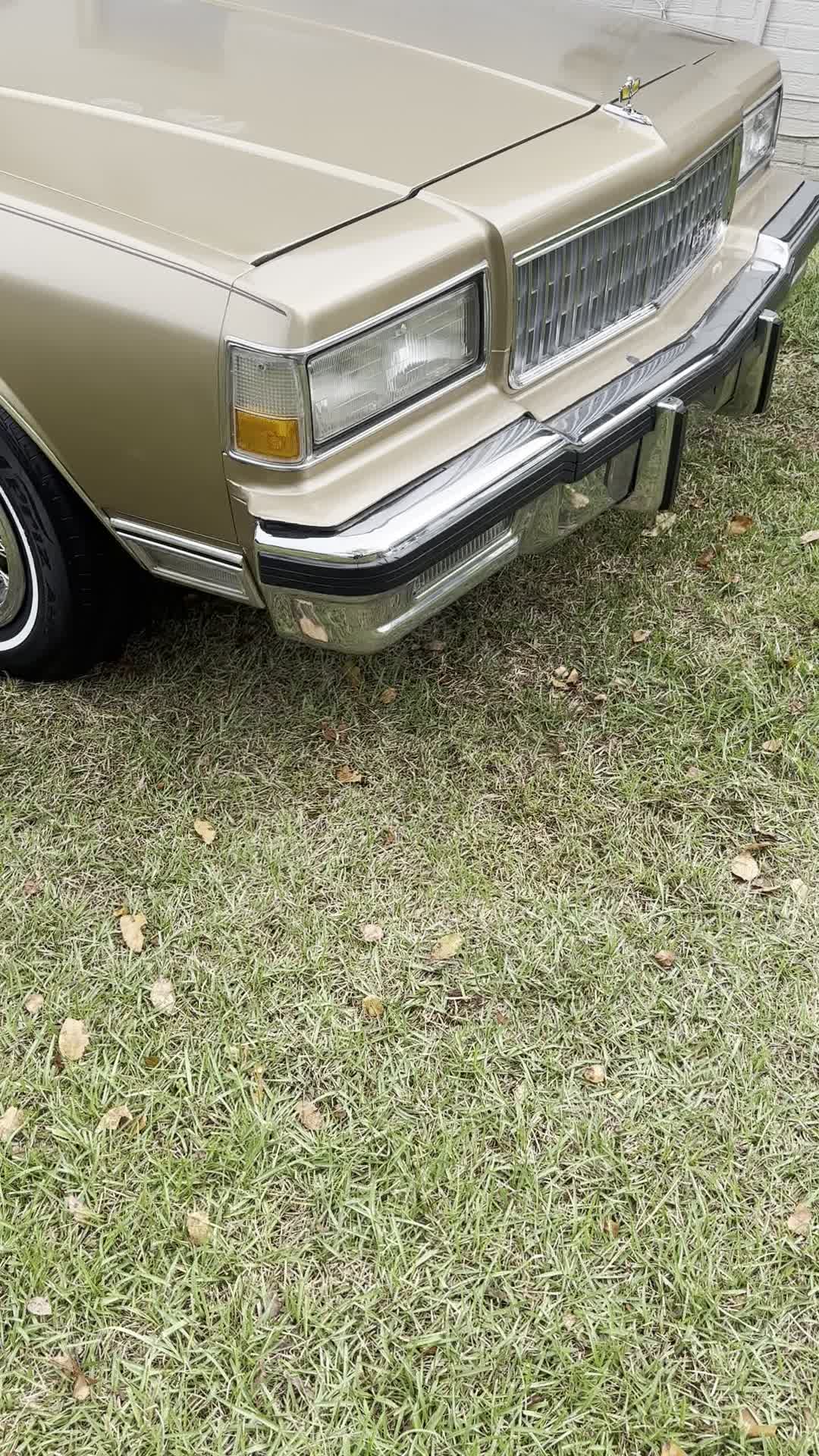 @CoonDawg