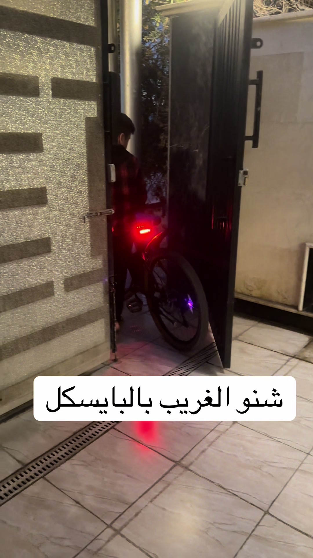 @شوشو و نونو / تعليم وتسليه
