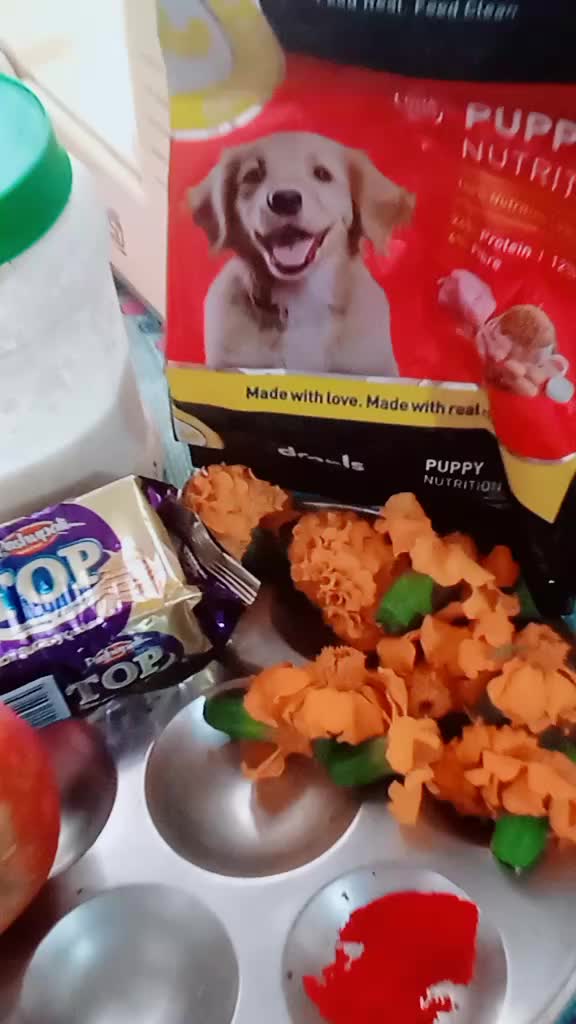 @shivashiva13___shivashiva13___