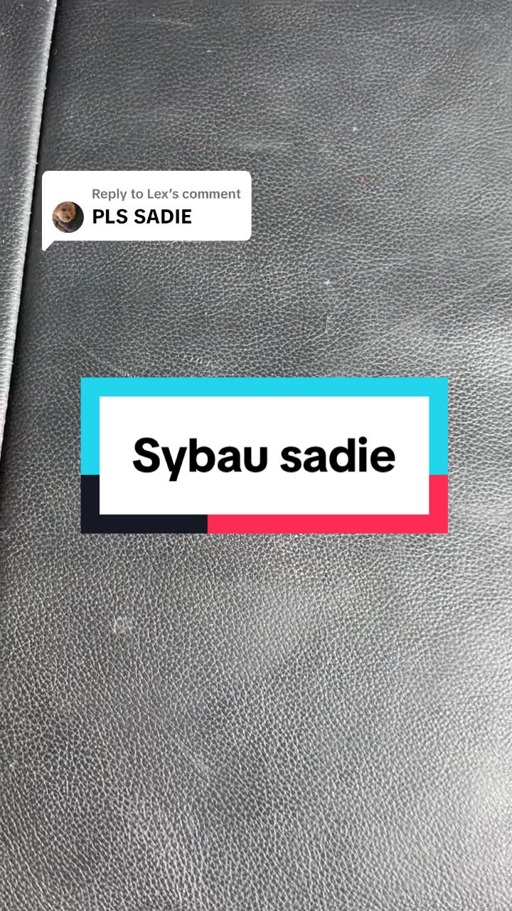 @sybau_names