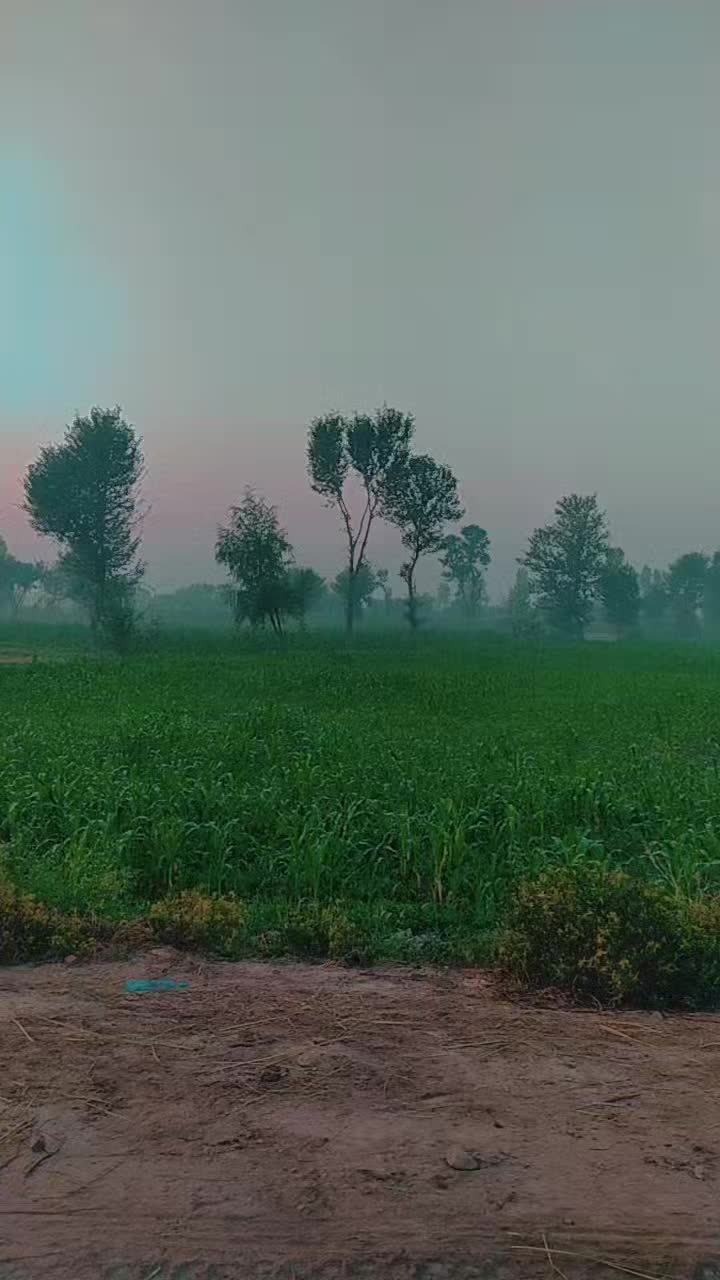 @Ꭺ.Ꮓ♛