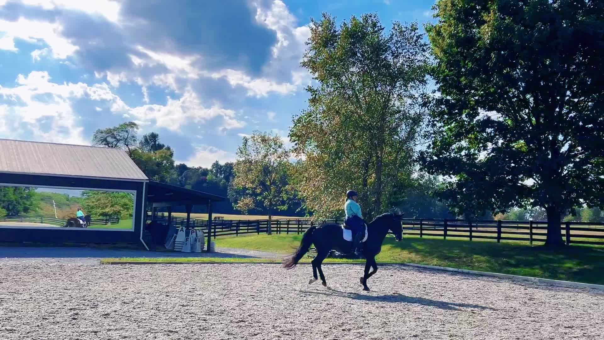 @KY Dressage Queen