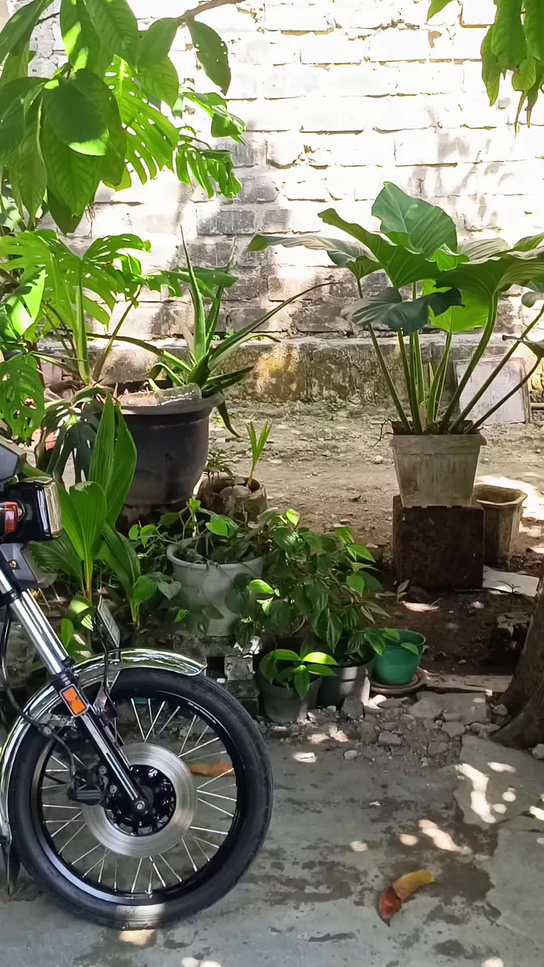 @Orishendarta