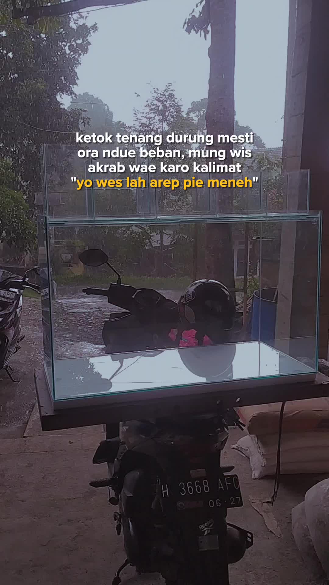 @Blessing_fish