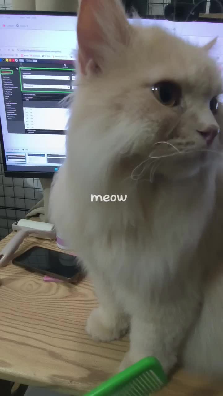 @Leo_and_Chase