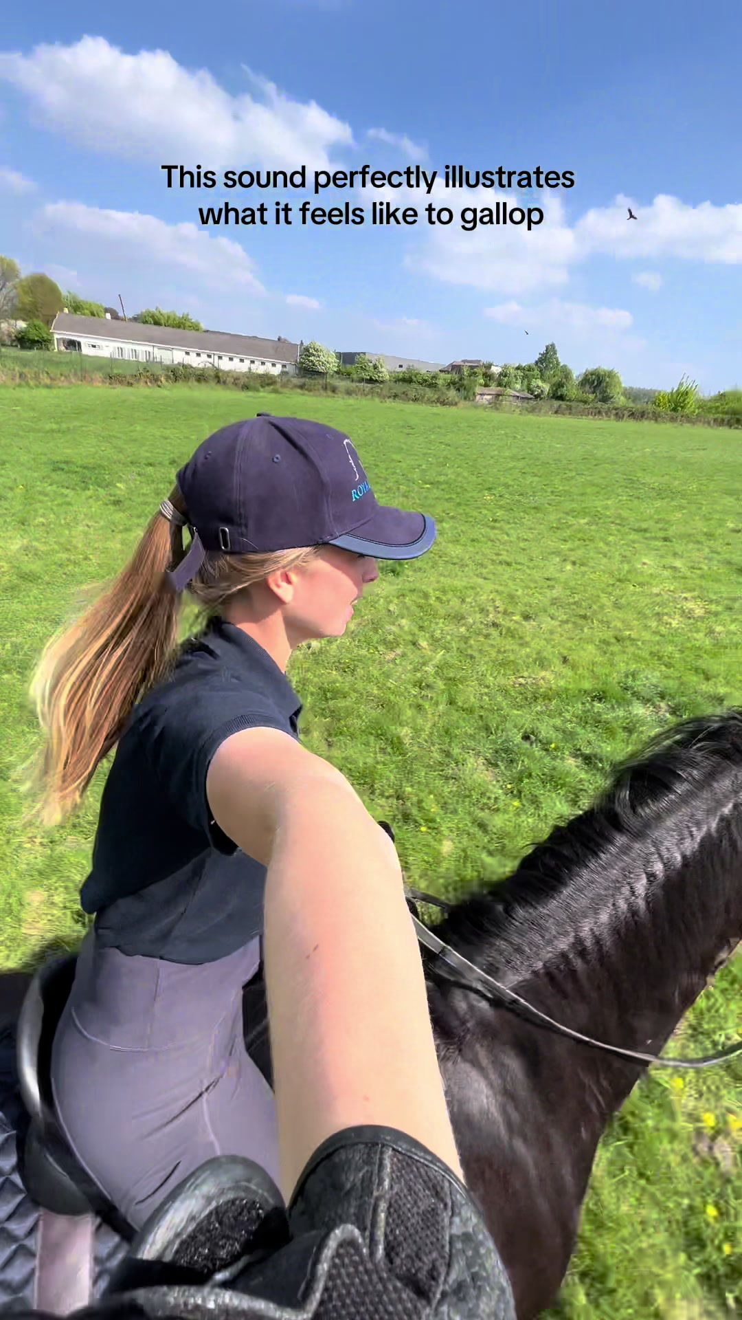 @Phoebe Tack Dressage