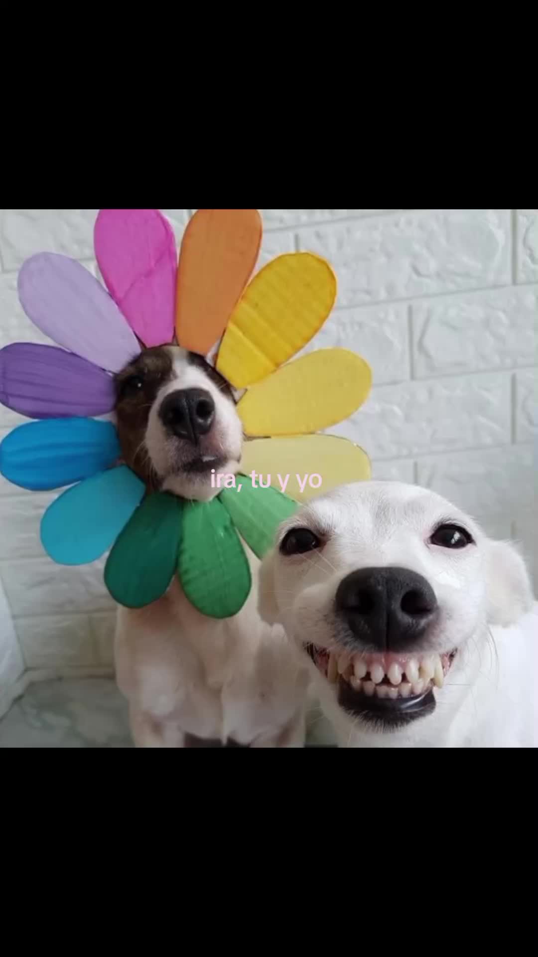 @jahured ✨