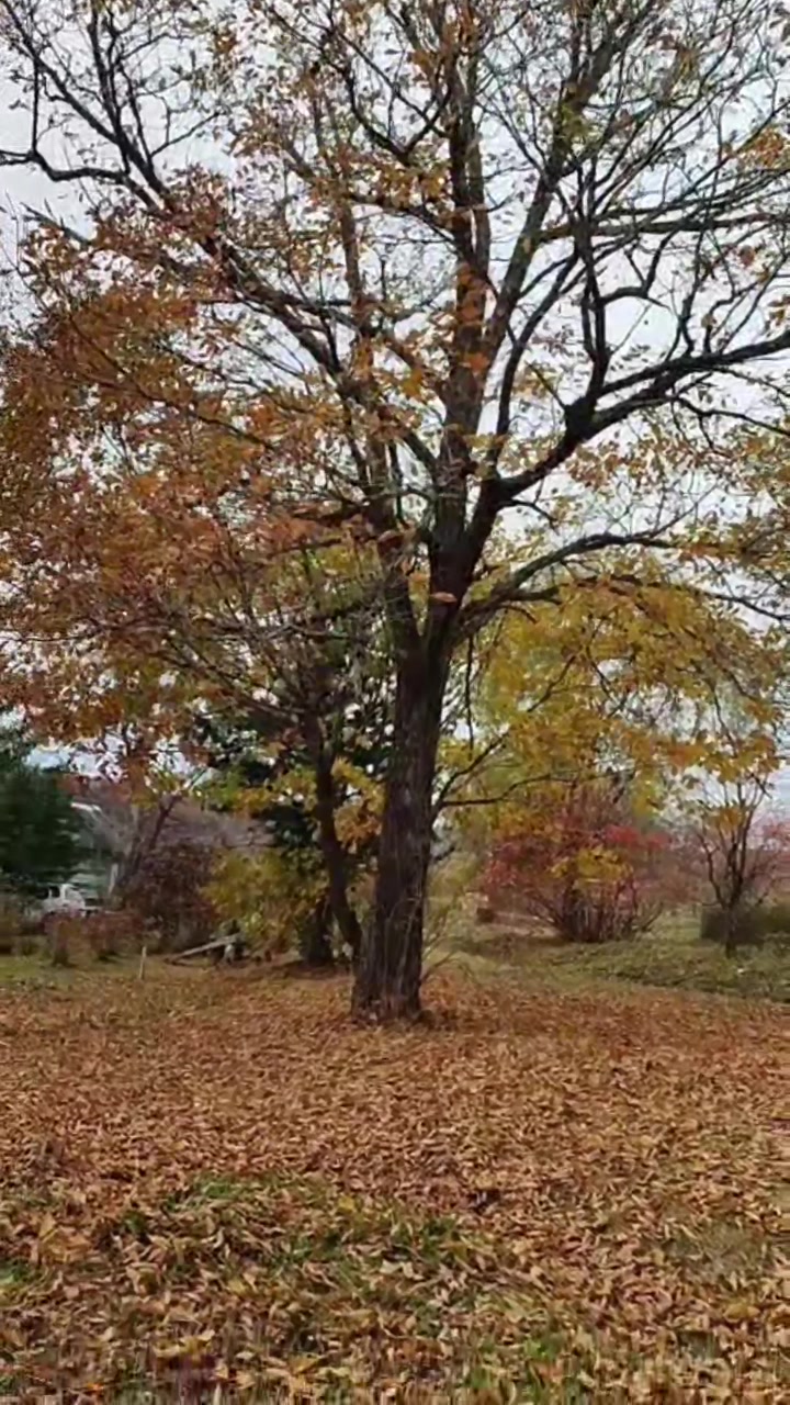 @Яна