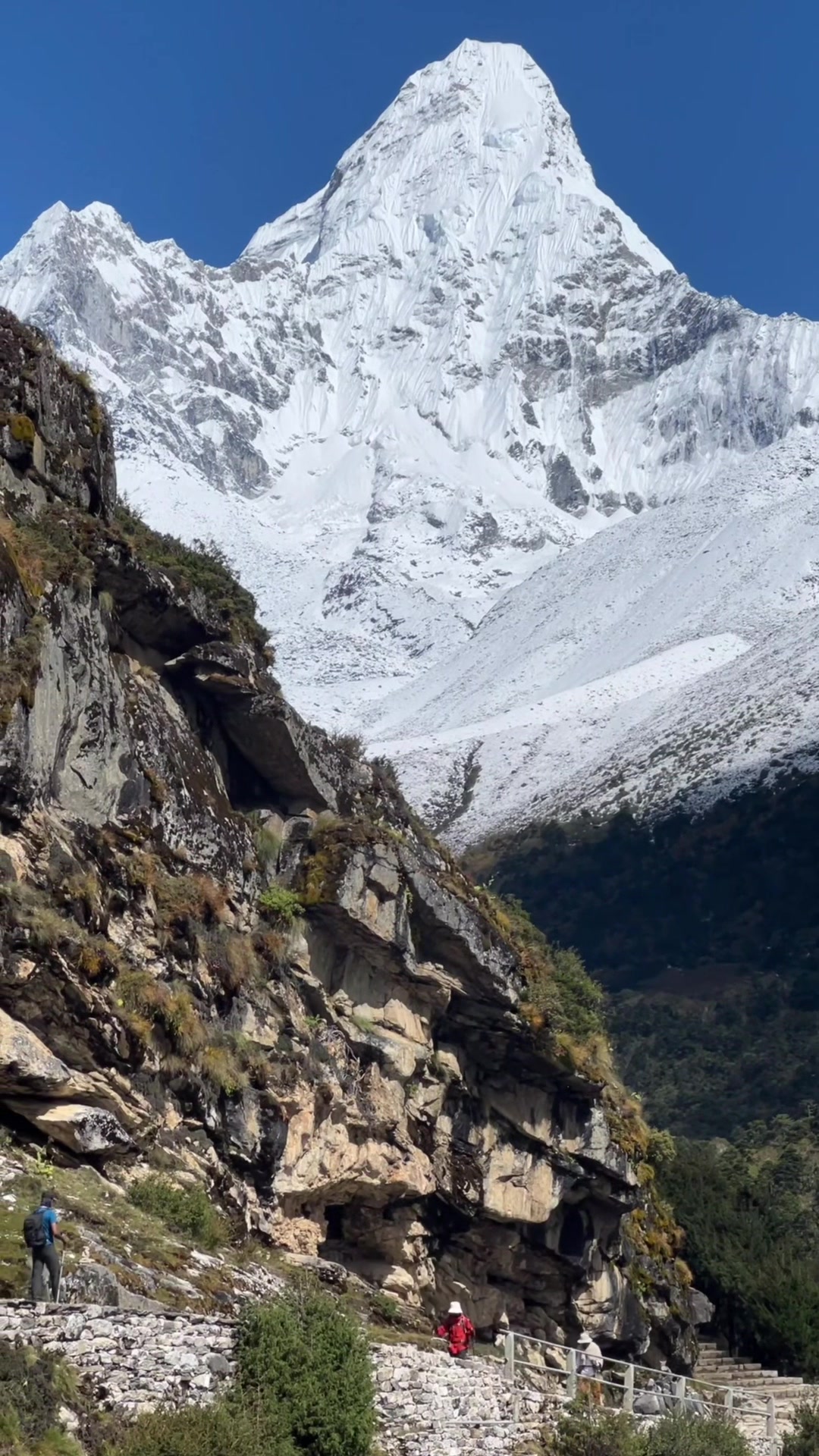 @lostinthehimalaya.com