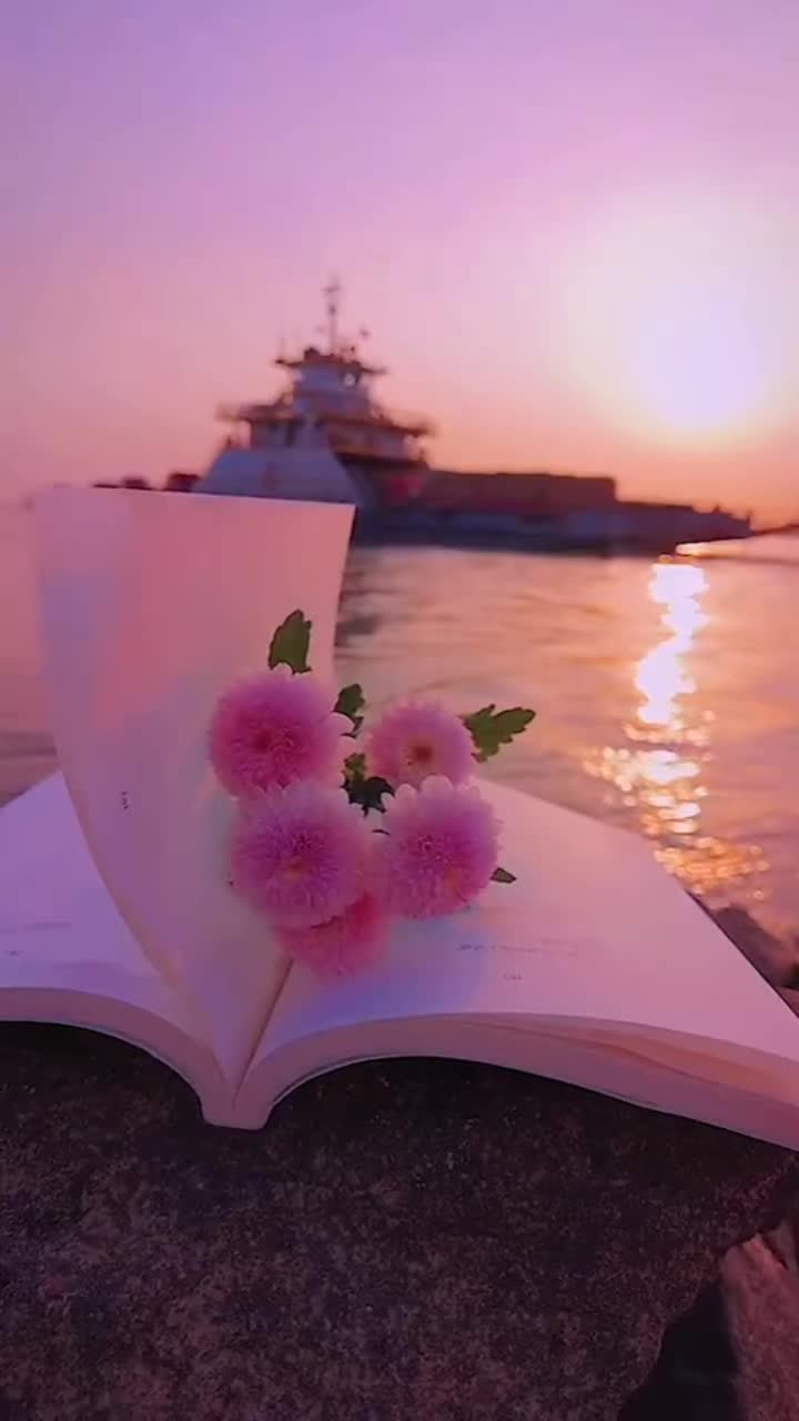 @🇹🇷Şamil_1987🇹🇷