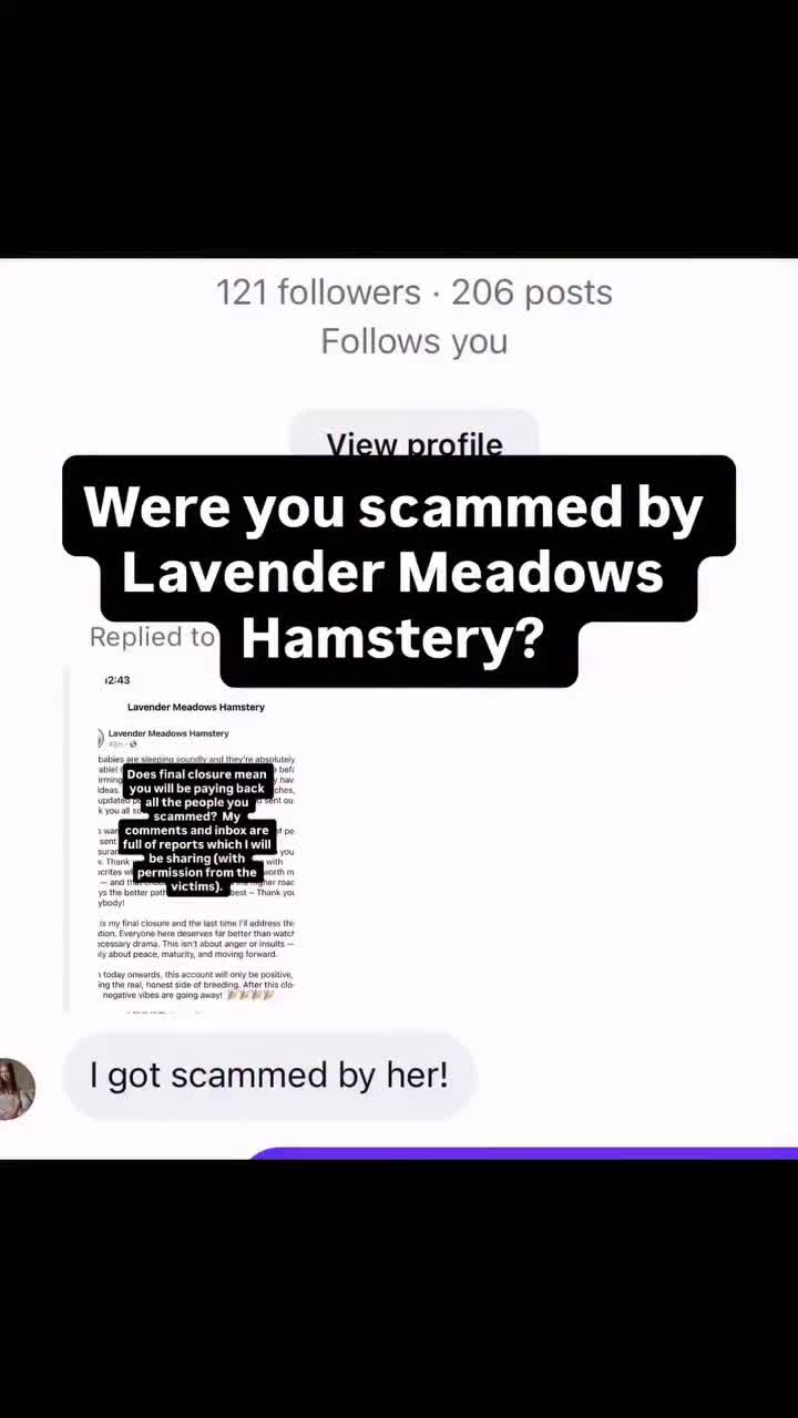 @Poppy Bee Hamstery