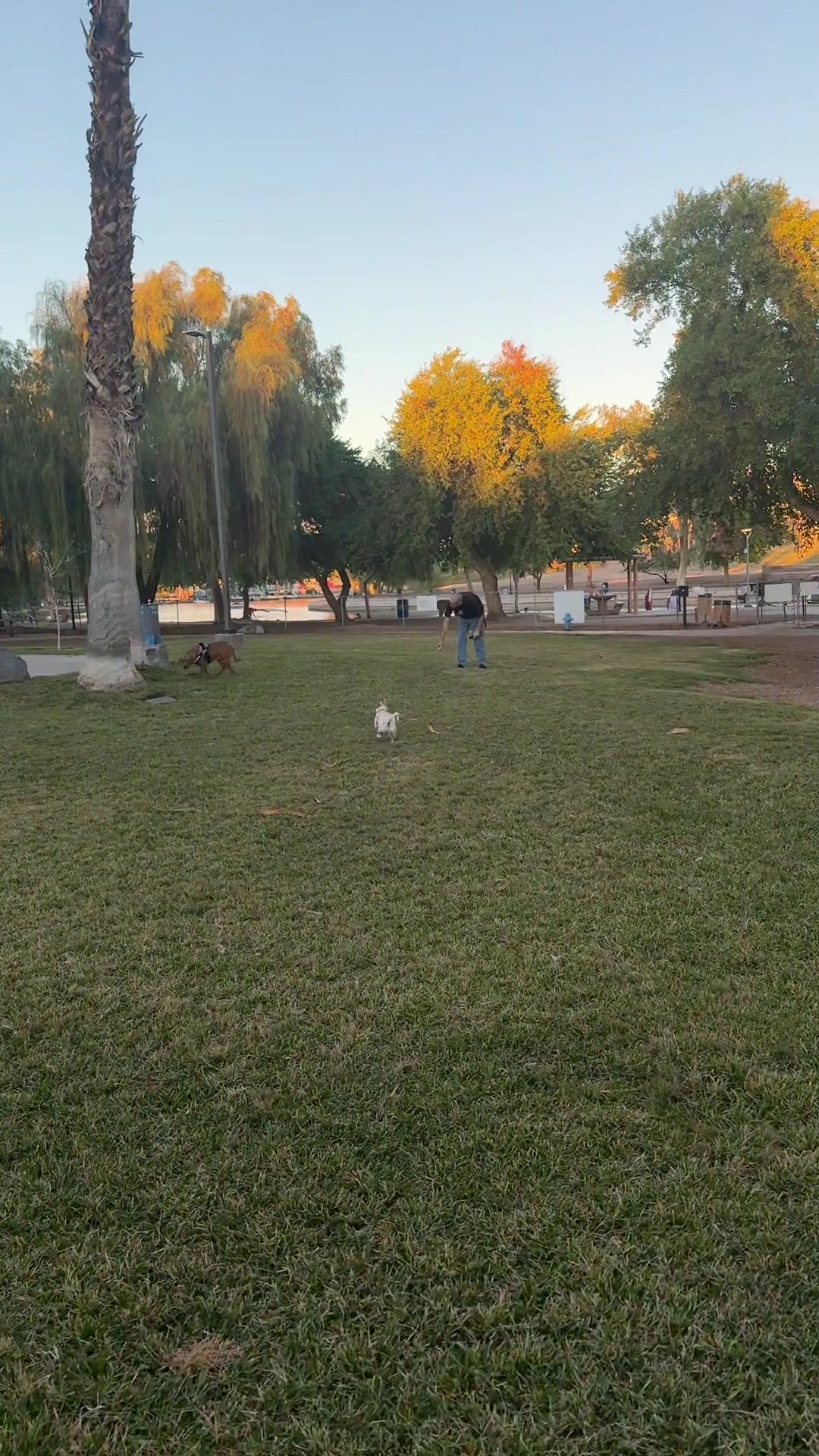 @Bambi & Canela 🐶🐕