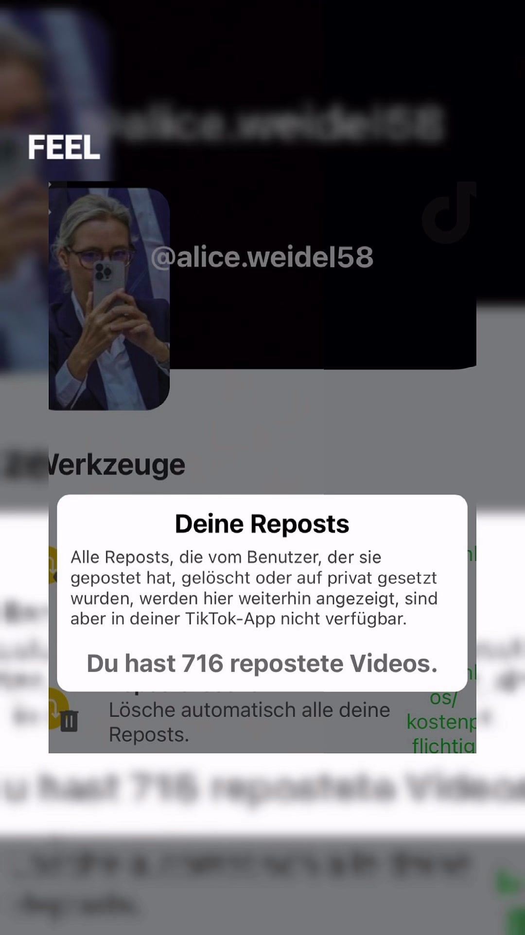 @Alice Weidel Fan💙