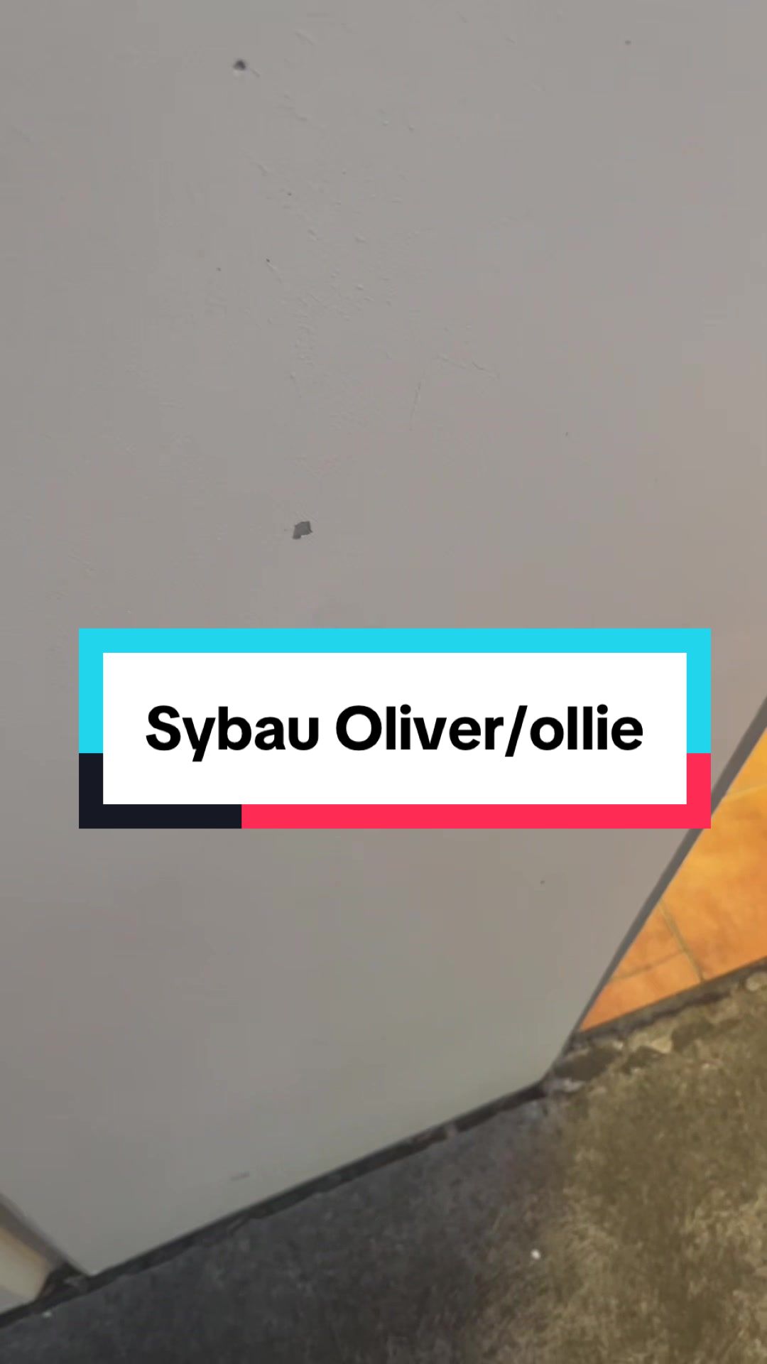 @sybau_names