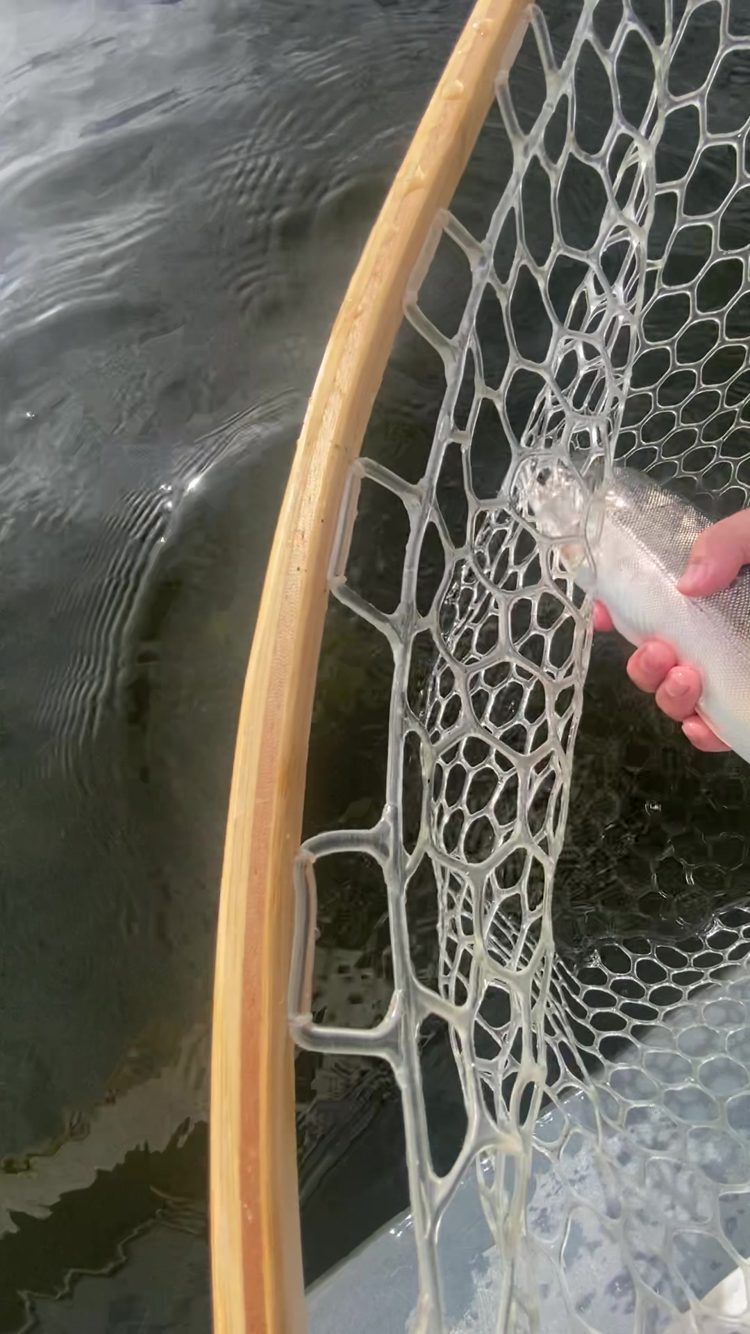 @Jared fishing BC