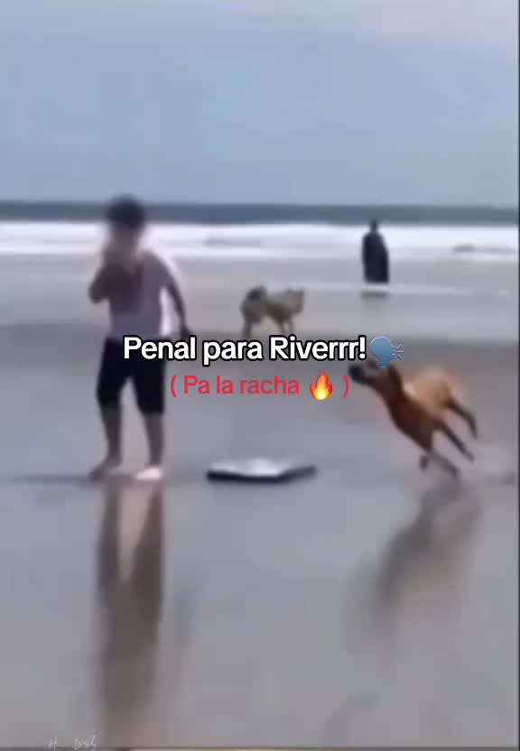 @𝙰𝚕𝚎𝚡𝚊𝚗𝚍𝚎𝚛...∰
