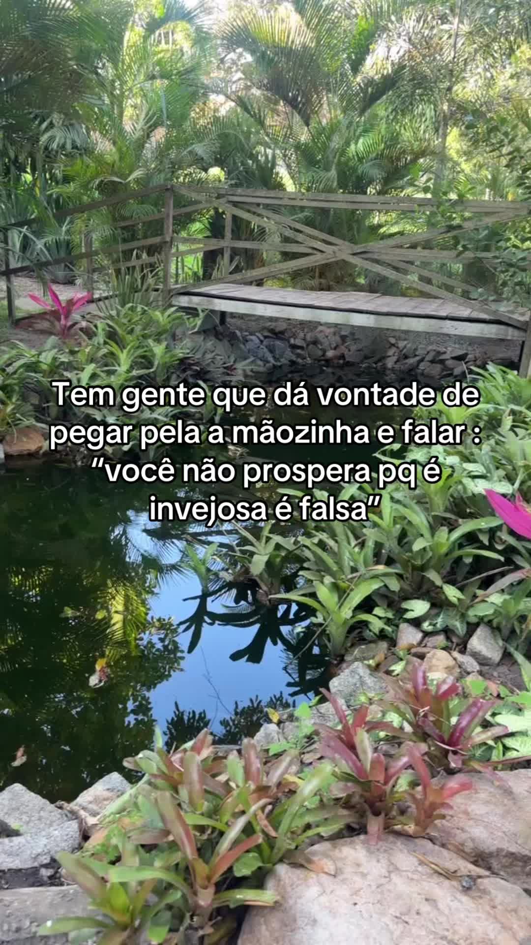 @mimapaes_