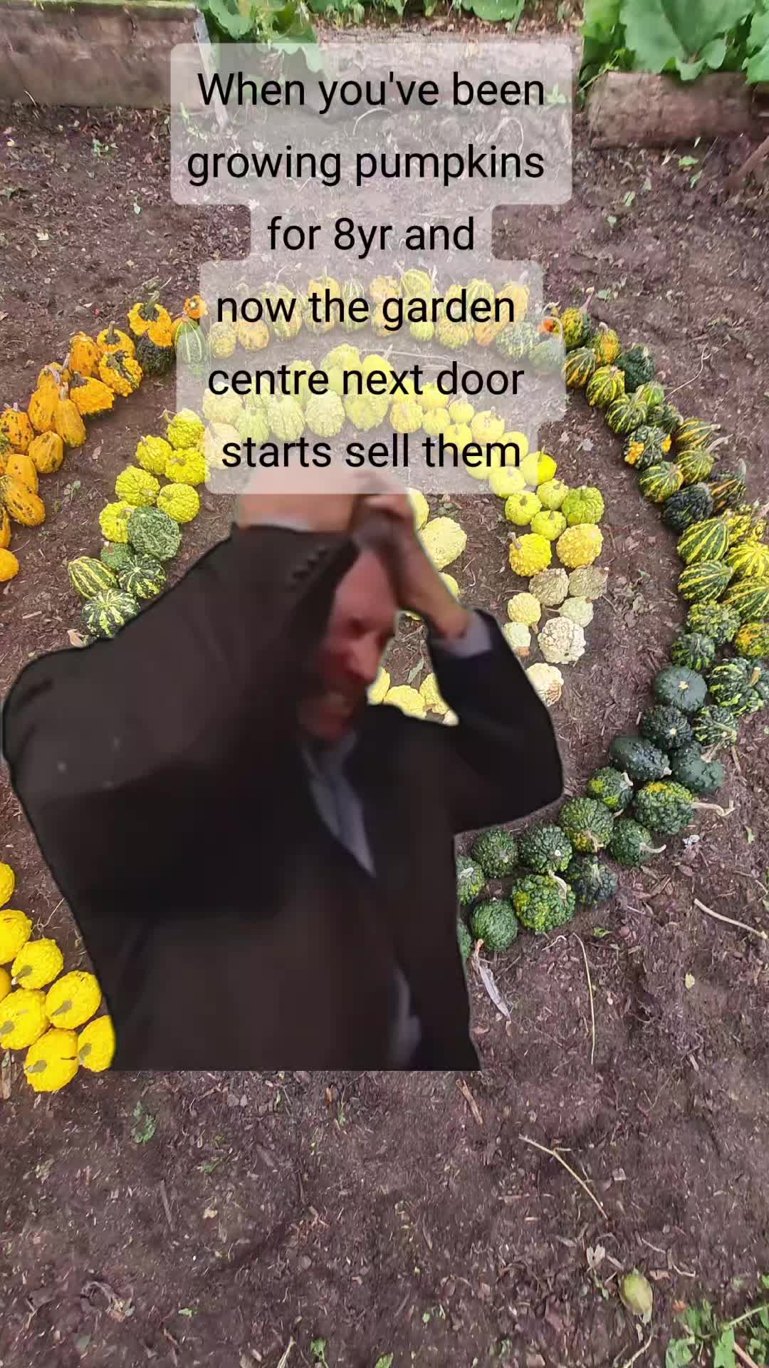 @The Nut Farm