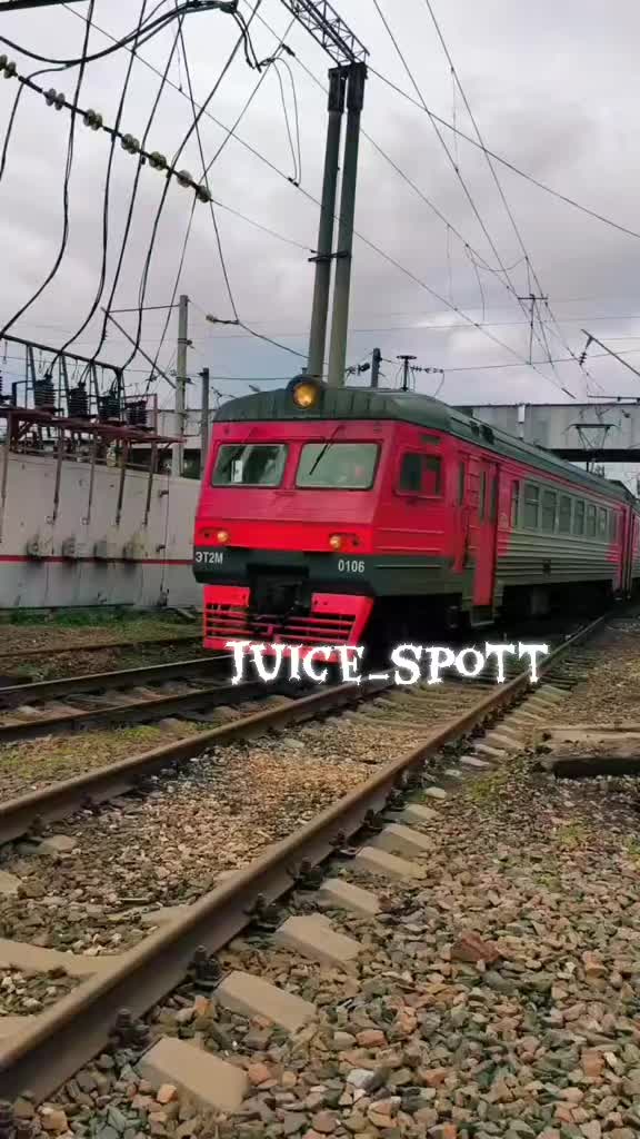 @ПСЫЖ_НАСТОЯЩИ