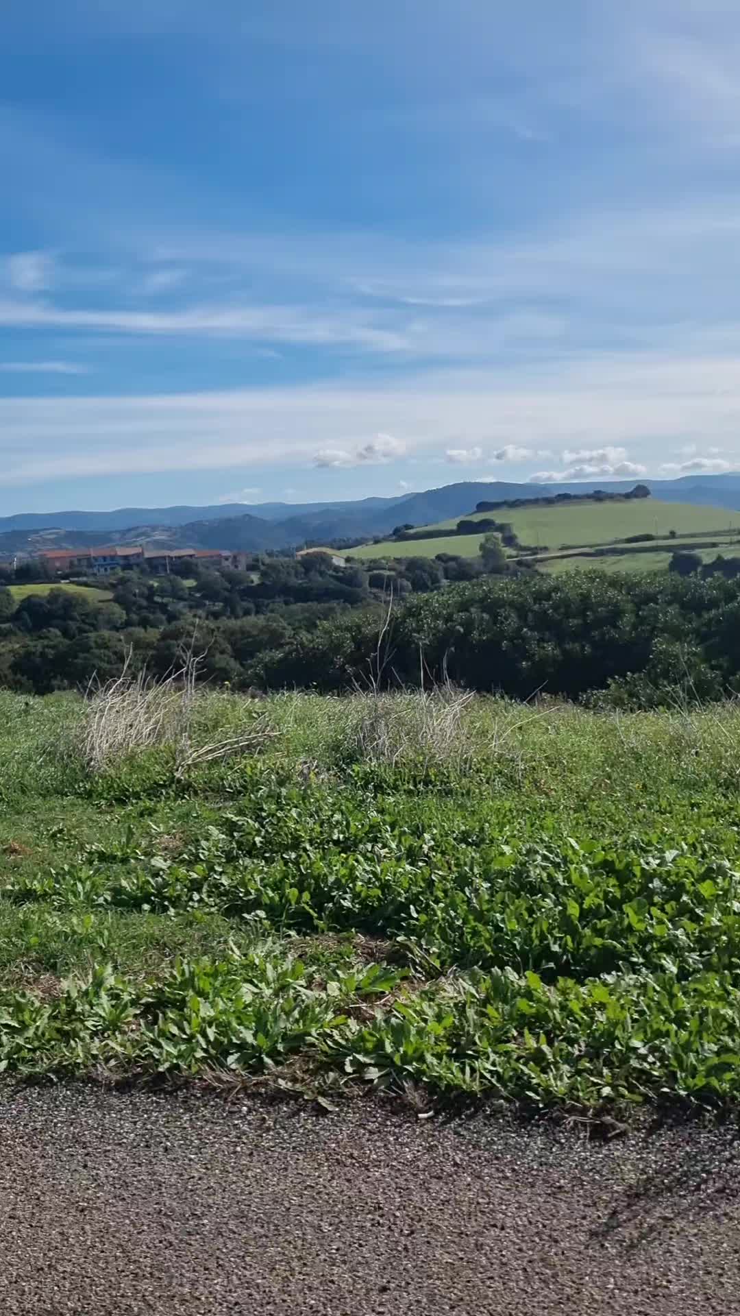 @Ilaria Deiana