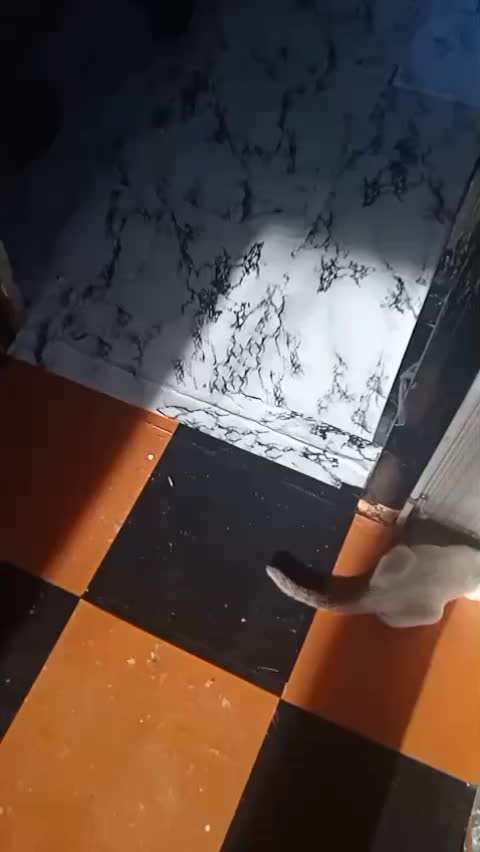 @Коля Оля