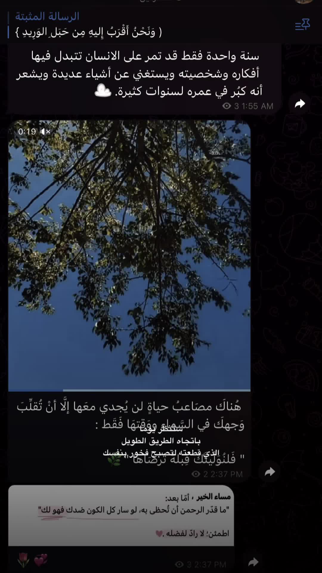 @احمد★