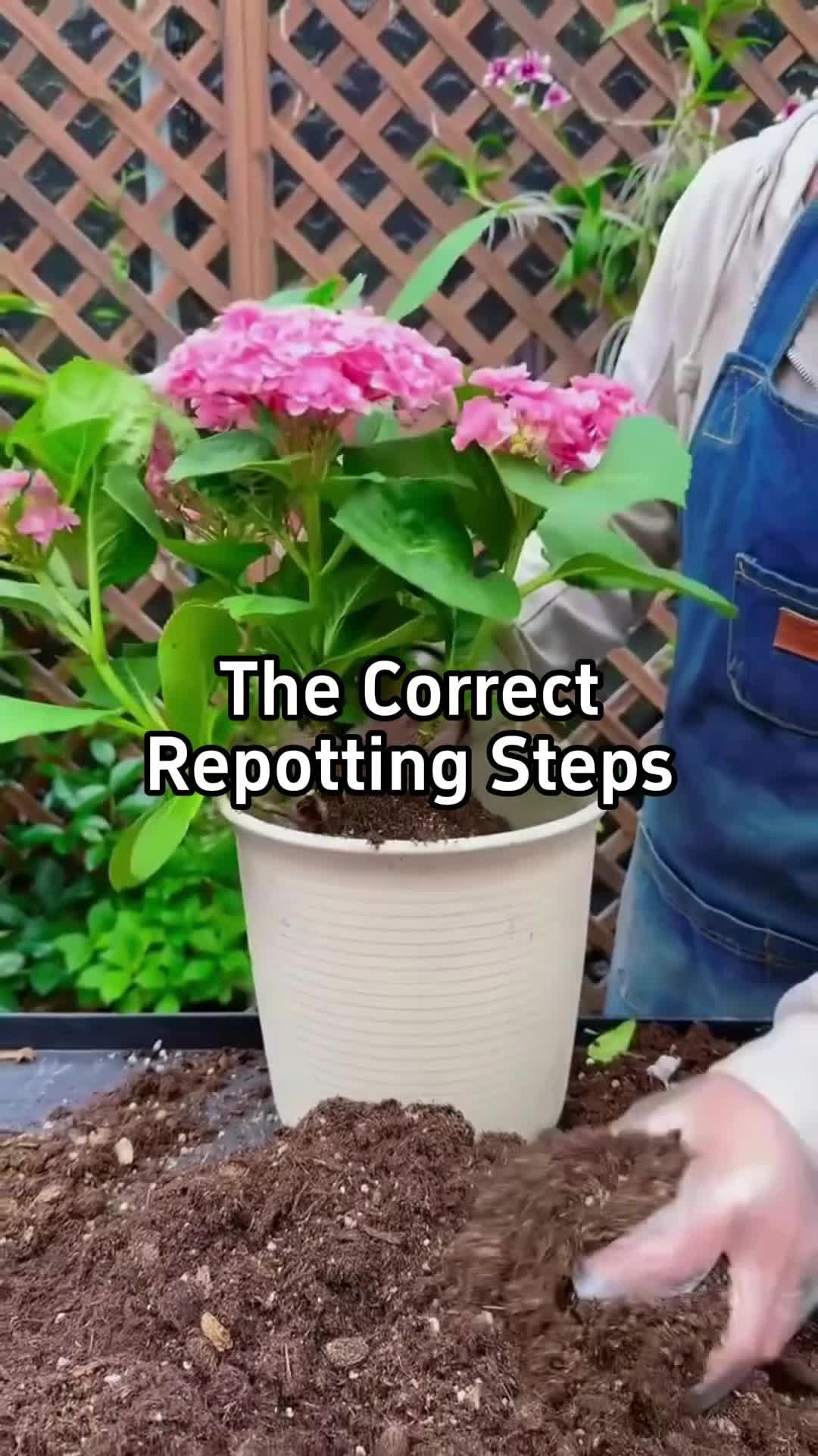 @BotanicKing
