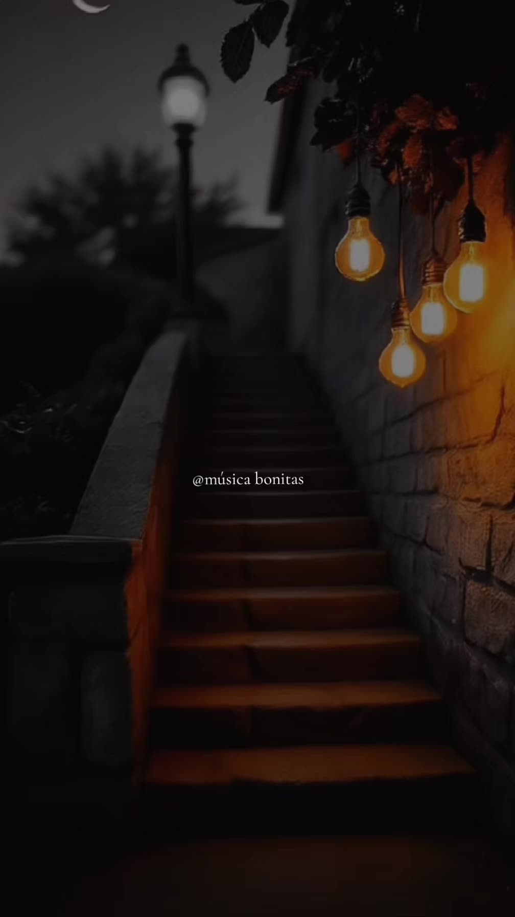 @tus m&uacute;sicas 🎧🎵