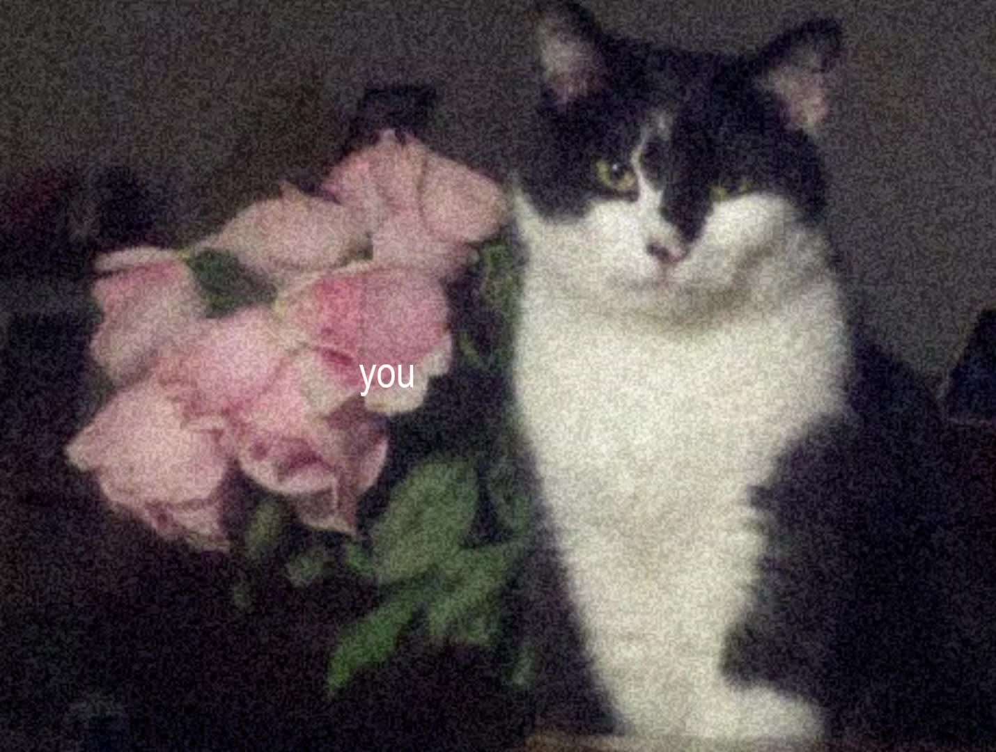 @🍀