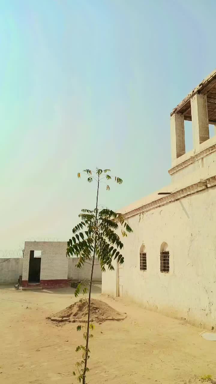 @Hasrat T&atilde;&ntilde;&ouml;l&iuml;