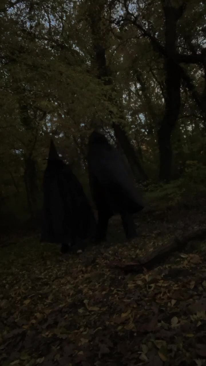 @🌲utførelsen av skogen⚔️