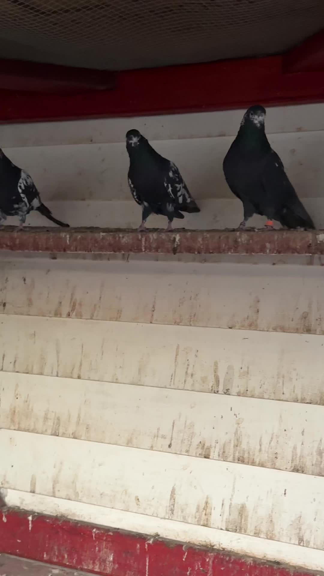 @Waqas Iqbal