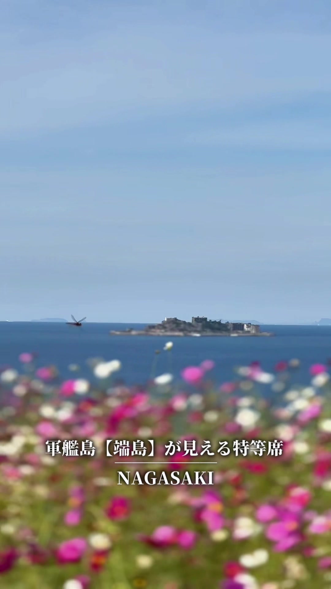 @やどかり