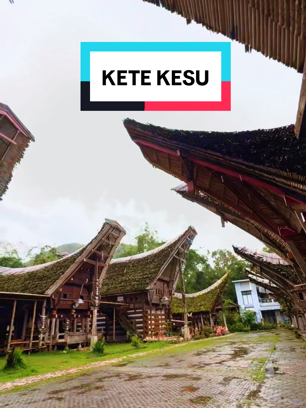 @Toraja Reels