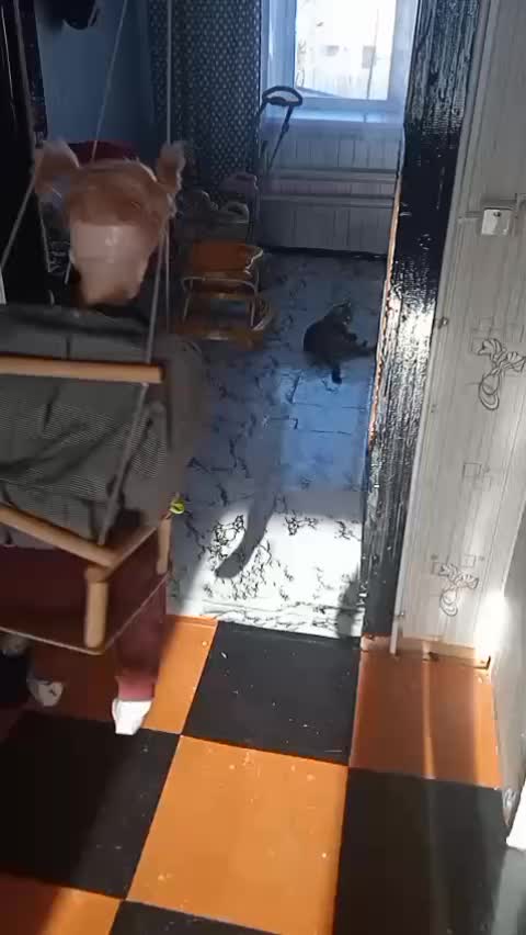 @Коля Оля