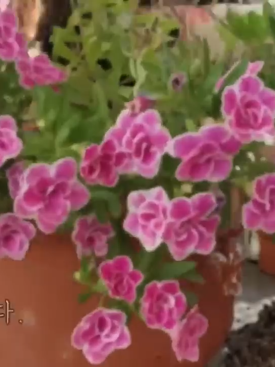 @user4245918369847