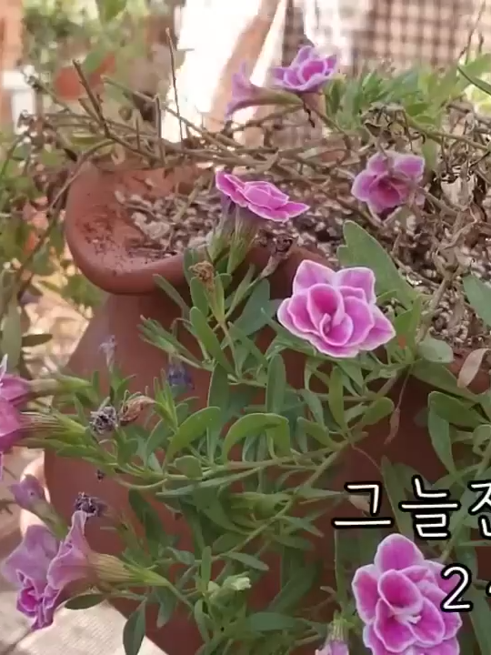 @user4245918369847