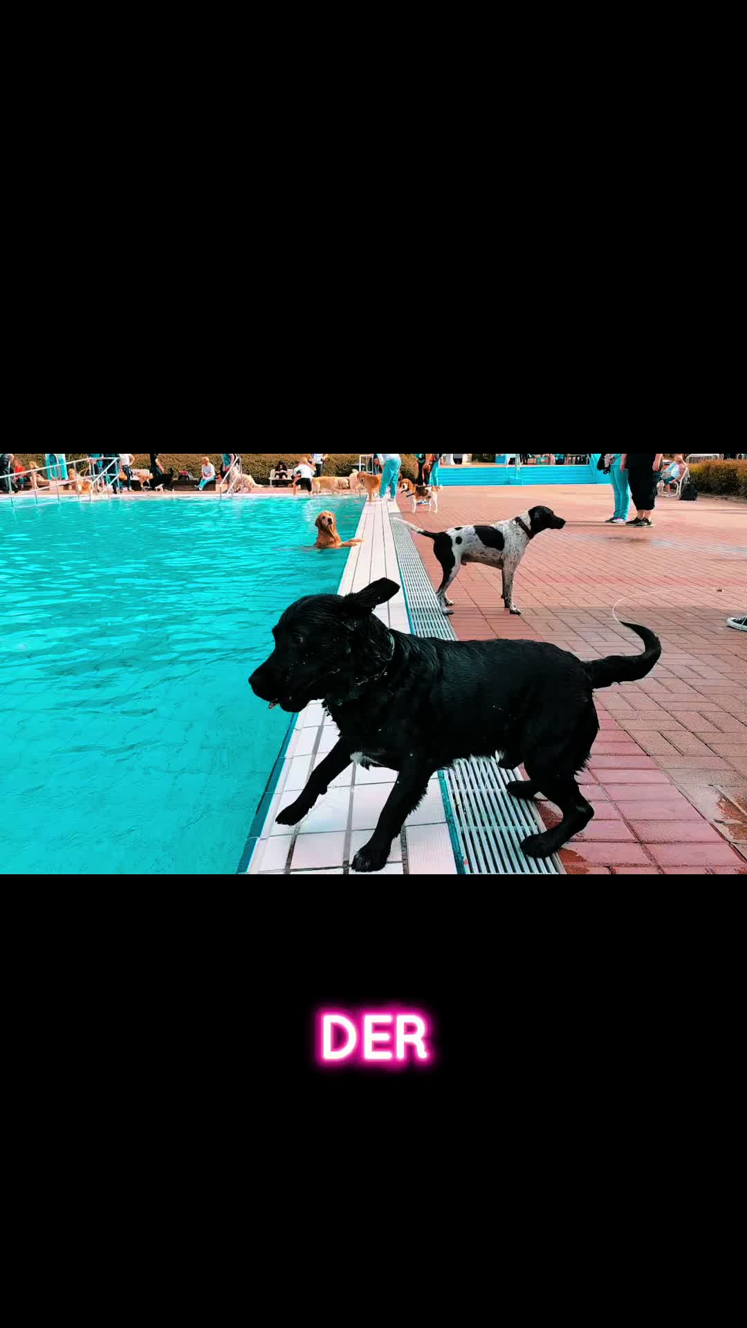 @Jōrg