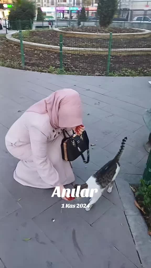 @34BEHİCE37